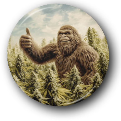 Bigfoot Thumbs Up in a Marijuana Field - One Inch Pinback Button