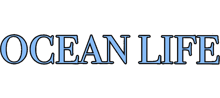 Header-Ocean-Life-v1 Header-Ocean-Life-v1