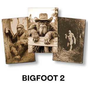 Bigfoot Magnet Set #2