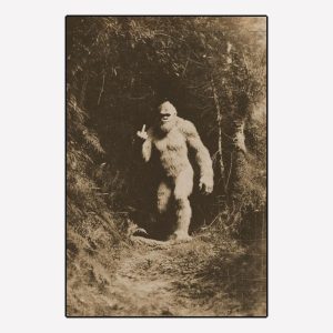 Bigfoot Give You The Finger