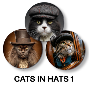 Cats in Hats Magnet Set #21