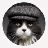 Boston Bob – Cats in Hats Magnet