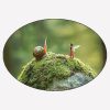Fairy and Snail Arguing on a Moss Rock Magnet