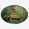 Fairy Giving Turtle Directions Magnet